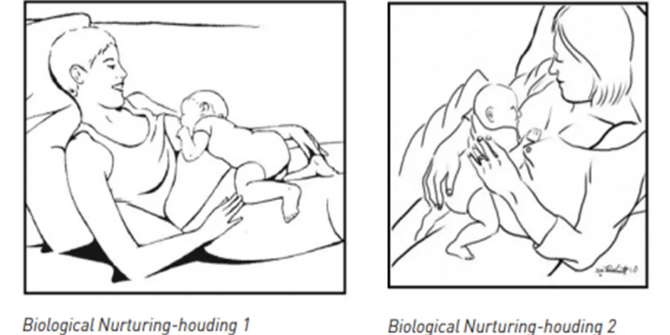 natuurlijke_houding.png